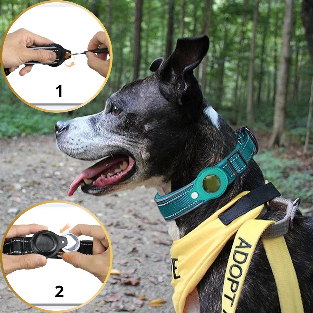 Collier anti fugue pour chien | Detectcol™ - Je Promène Mon Chien