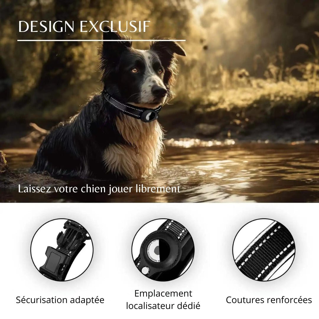 Collier anti fugue pour chien | Detectcol™ - Je Promène Mon Chien