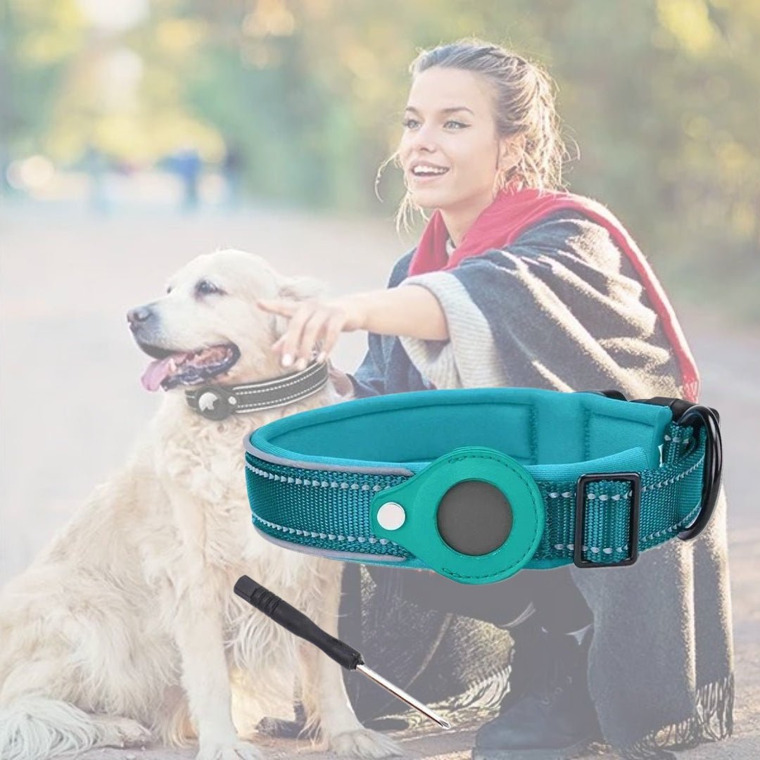 Collier anti fugue pour chien | Detectcol™ - Je Promène Mon Chien