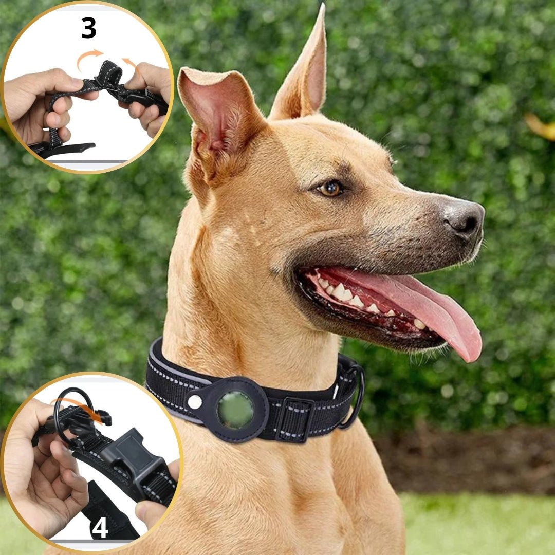 Collier anti fugue pour chien | Detectcol™ - Je Promène Mon Chien