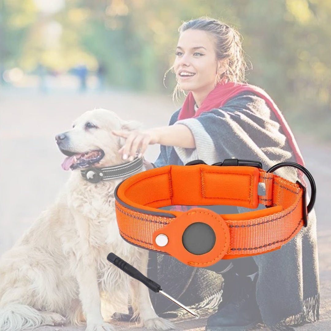 Collier anti fugue pour chien | Detectcol™ - Je Promène Mon Chien