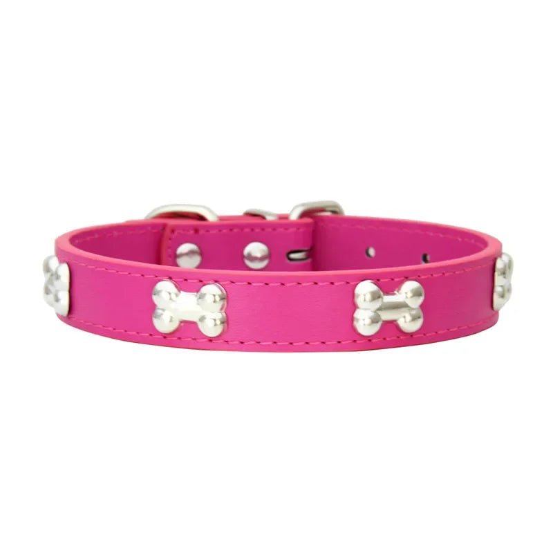 Collier chien cuir | Yakucol™ - Je Promène Mon Chien