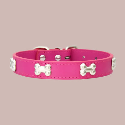 Collier chien cuir | Yakucol™ - Je Promène Mon Chien