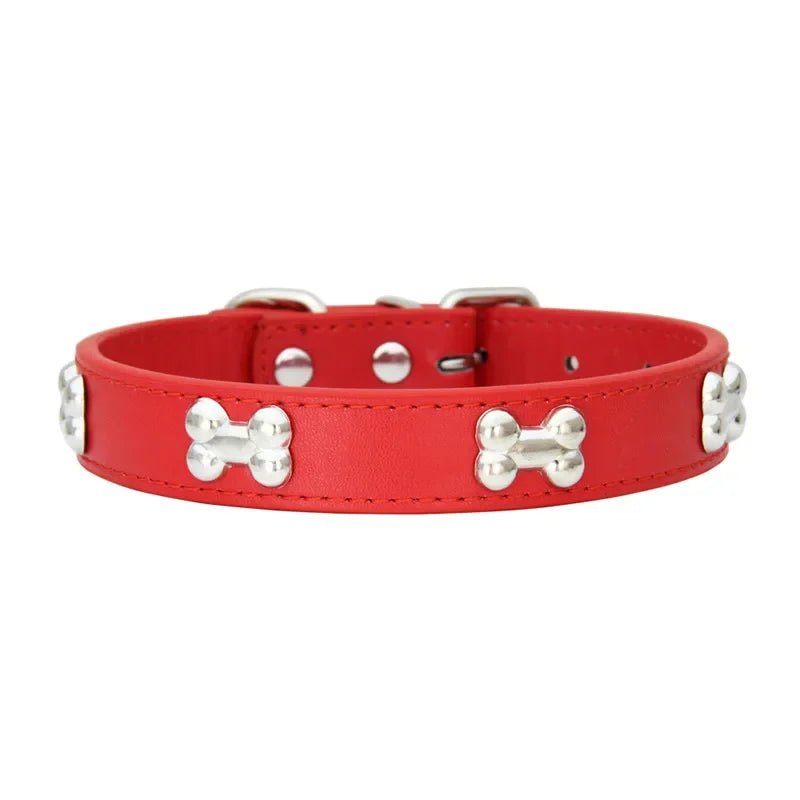 Collier chien cuir | Yakucol™ - Je Promène Mon Chien