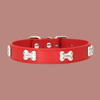 Collier chien cuir | Yakucol™ - Je Promène Mon Chien