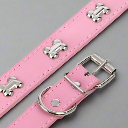 Collier chien cuir | Yakucol™ - Je Promène Mon Chien