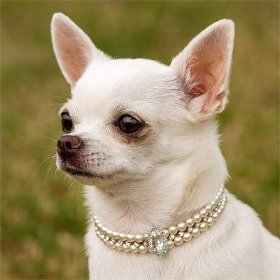 Collier Chien | Elégant et stylé