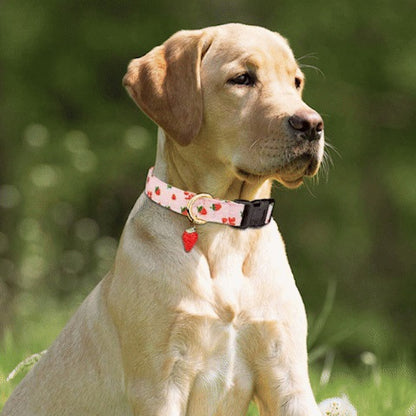 Collier chien | Fruits™ - Ultra-tendance
