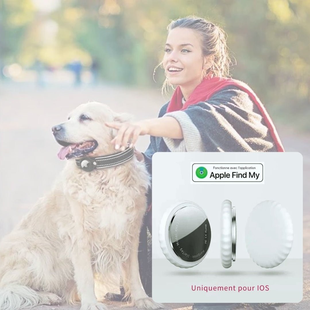 Collier chien GPS | RepercolGPS - Je Promène Mon Chien