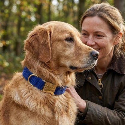 Collier chien personnalisé en forêt