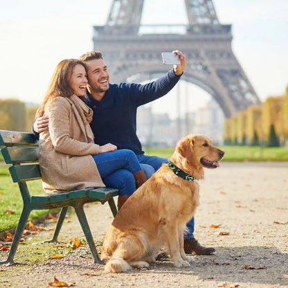 Collier chien | Romanticol™ - romantisme et aventures