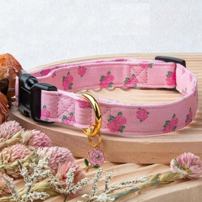 Collier chien | Romanticol™ - romantisme et aventures