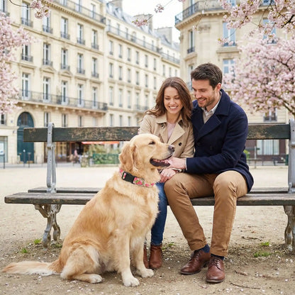 Collier chien | Romanticol™ - romantisme et aventures