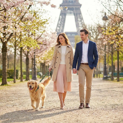 Collier chien | Romanticol™ - romantisme et aventures