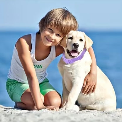 Collier chien | Souple et Confortable