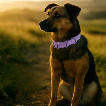 Collier chien | Souple et Confortable