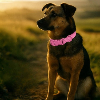 Collier chien | Souple et Confortable