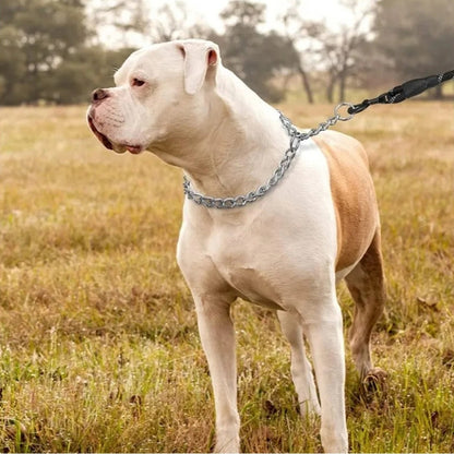 Collier Chien | Stylecol™ - Résistant et Confortable
