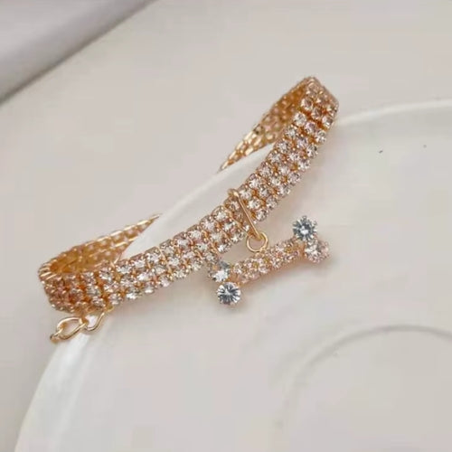 Collier chiot | Confort Réglable