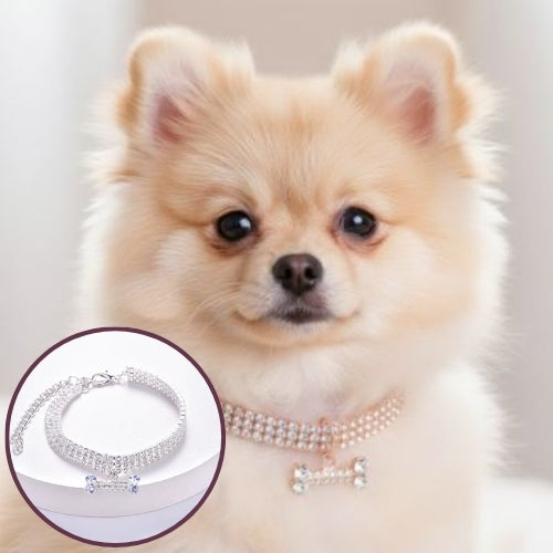 Collier chiot | Confort Réglable