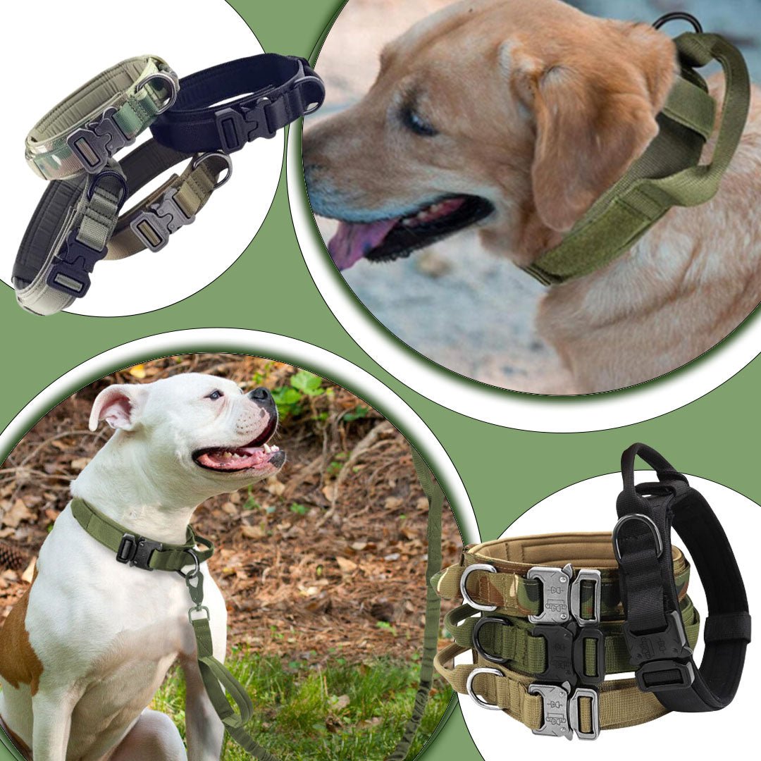 Collier de dressage chien | Tacticol™ - Je Promène Mon Chien