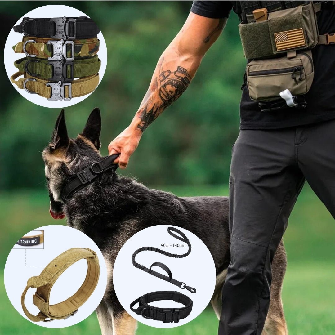 Collier de dressage chien | Tacticol™ - Je Promène Mon Chien