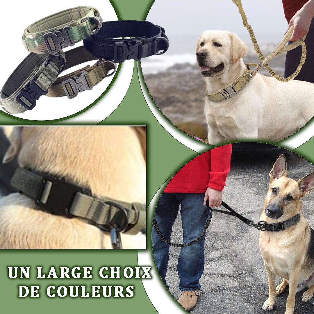 Collier de dressage chien | Tacticol™ - Je Promène Mon Chien