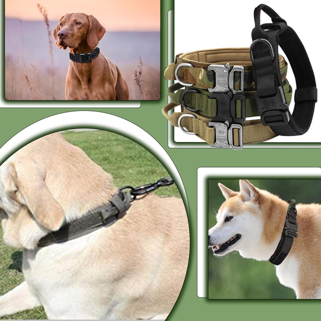 Collier de dressage chien | Tacticol™ - Je Promène Mon Chien