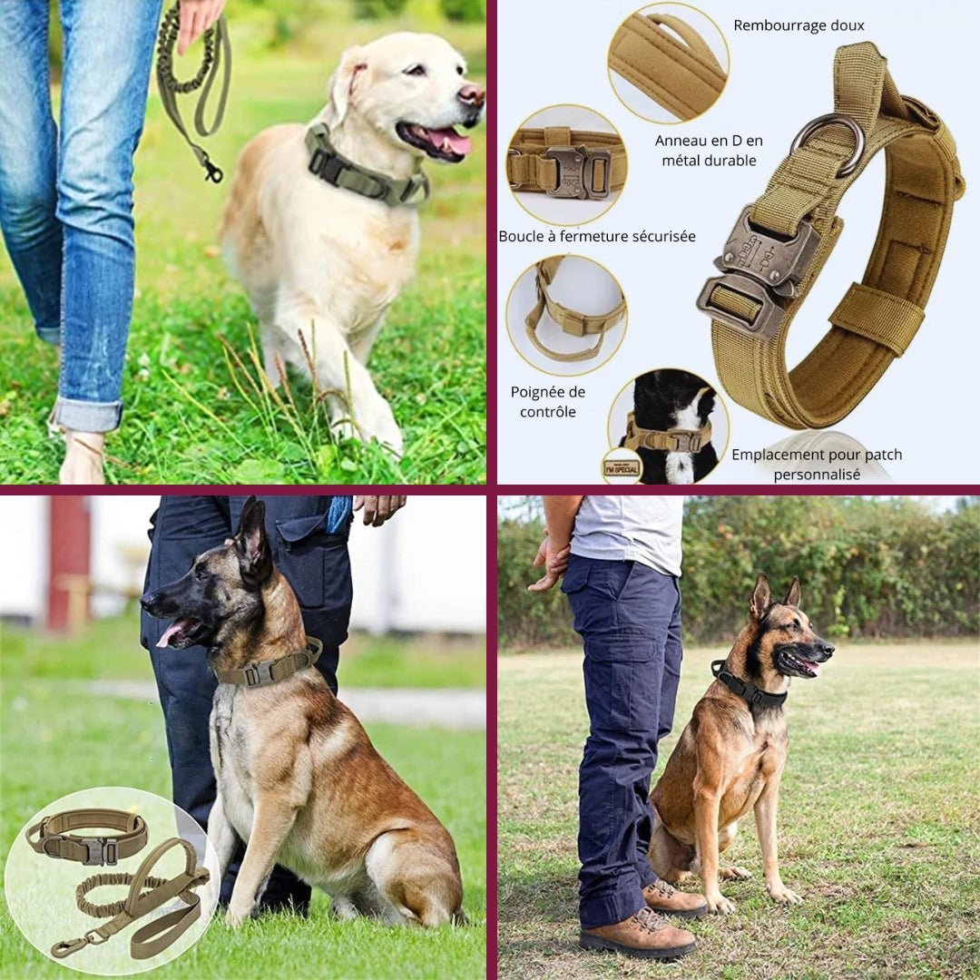Collier de dressage pour chien | Militcol™ - Je Promène Mon Chien