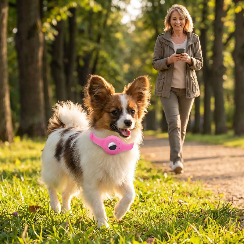 collier GPS chien sans abonnement rose en forêt