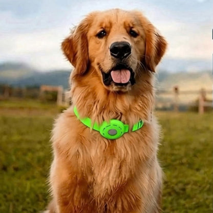 collier GPS chien sans abonnement vert