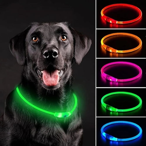 Collier Lumineux Chien | NightSafe™