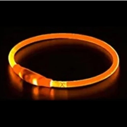 Collier Lumineux Chien | NightSafe™