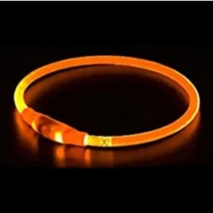 Collier Lumineux Chien | NightSafe™