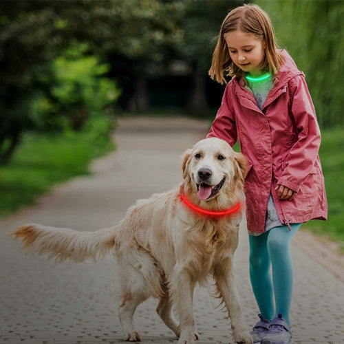 Collier Lumineux Chien | NightSafe™