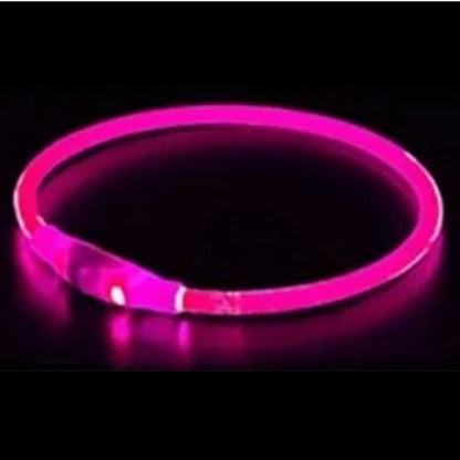 Collier Lumineux Chien | NightSafe™