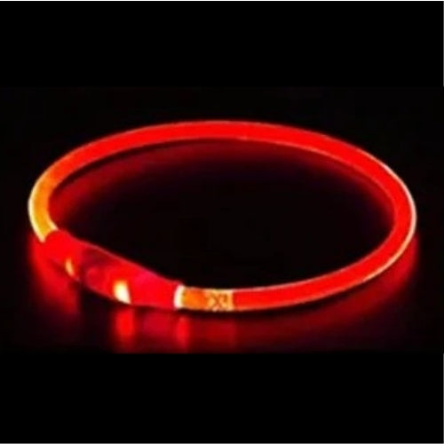 Collier Lumineux Chien | NightSafe™