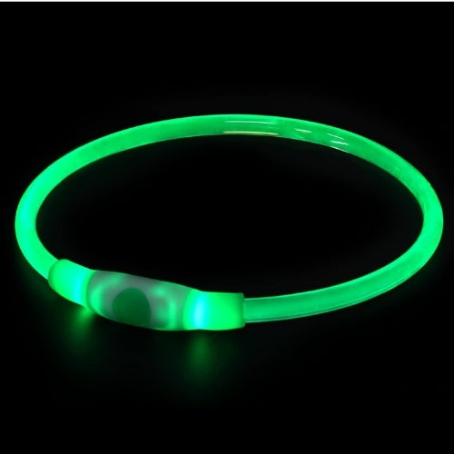 Collier Lumineux Chien | NightSafe™