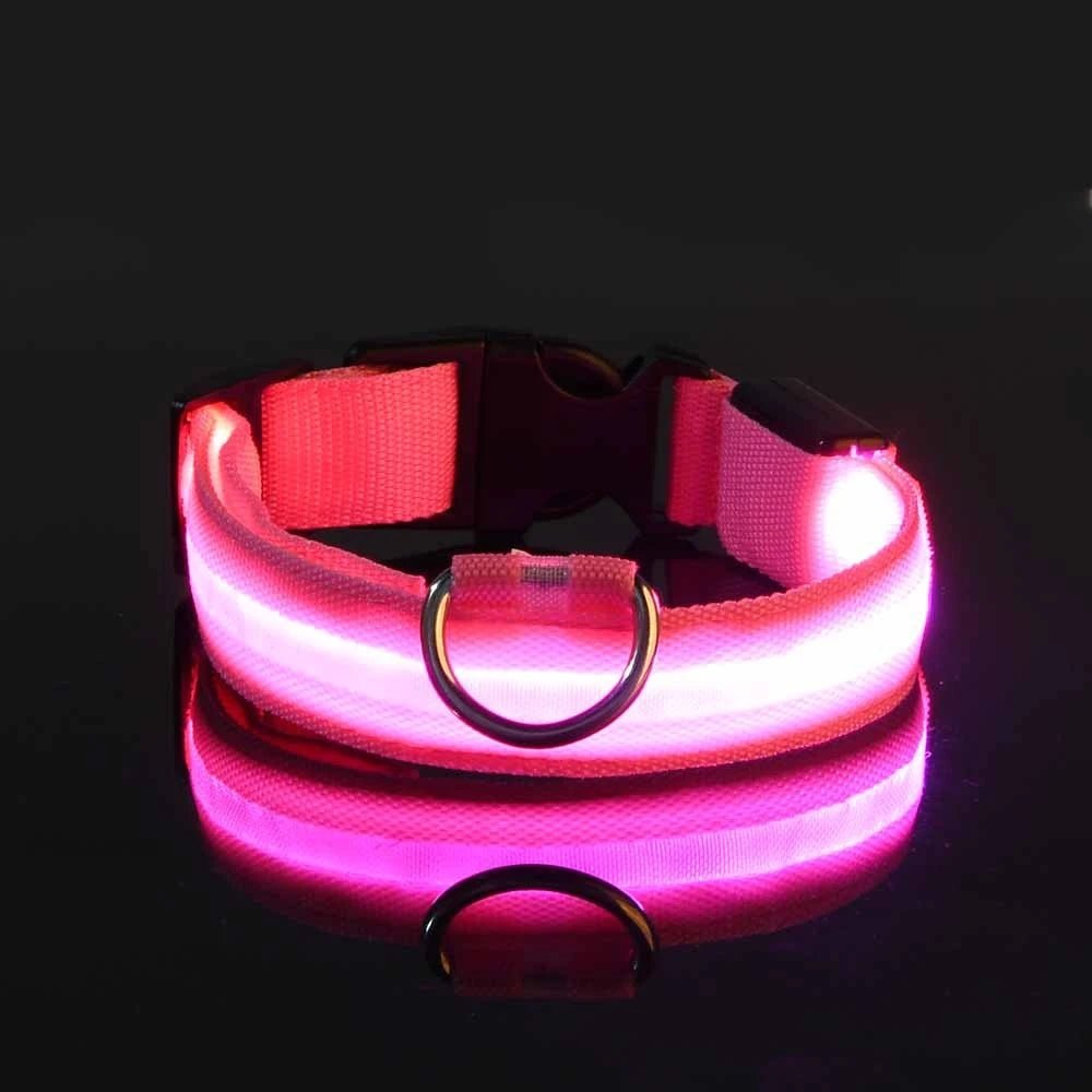 Collier lumineux pour chien | Ticoucol™ - Je Promène Mon Chien