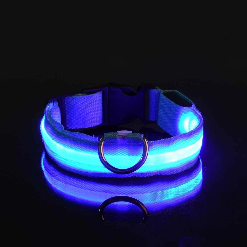 Collier lumineux pour chien | Ticoucol™ - Je Promène Mon Chien