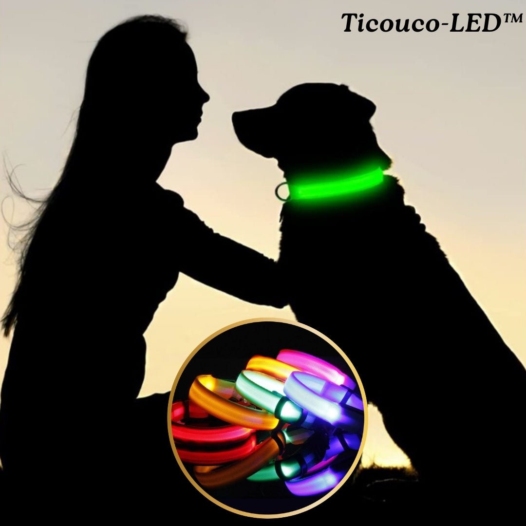 Collier lumineux pour chien | Ticoucol™ - Je Promène Mon Chien