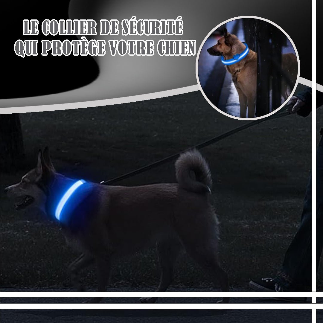 Collier lumineux pour chien | Ticoucol™ - Je Promène Mon Chien