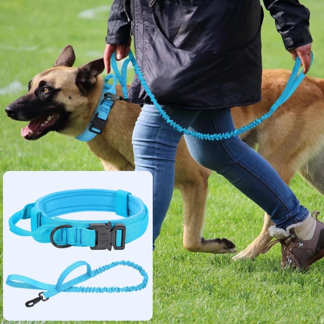 Collier pour chien de dressage | Vigicol™ - Je Promène Mon Chien