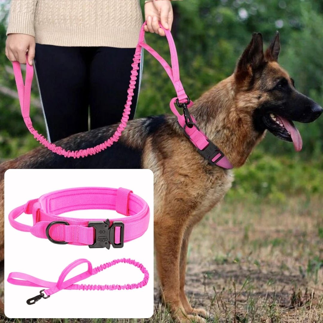 Collier pour chien de dressage | Vigicol™ - Je Promène Mon Chien