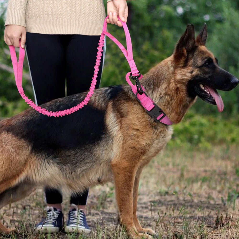 Collier pour chien de dressage | Vigicol™ - Je Promène Mon Chien