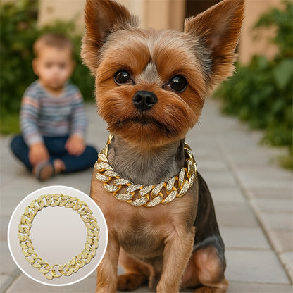 Collier pour chien | Luxe Cubain