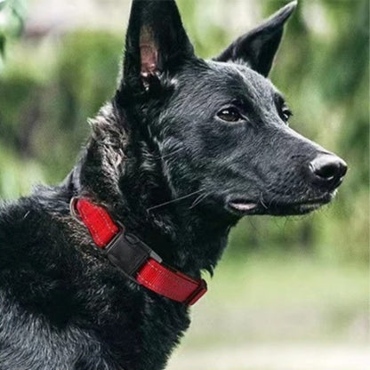 Collier pour Chien rouge