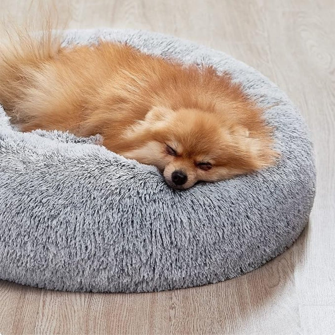 Coussin chien | Nidouillet™ - Je Promène Mon Chien