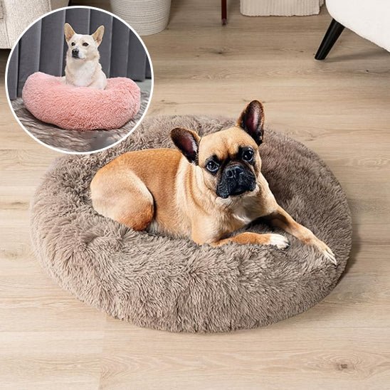 Coussin chien | Nidouillet™ - Je Promène Mon Chien