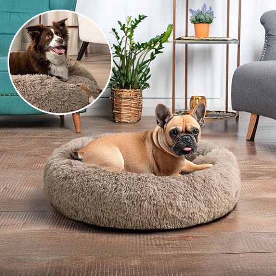 Coussin chien | Nidouillet™ - Je Promène Mon Chien